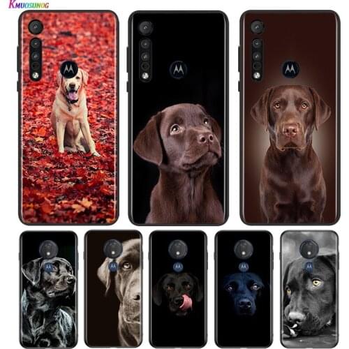 Labrador Retriever For Motorola G9 G8 G Stylus Power One Fusion Hyper Edge E7 E6 5G Plus Play Lite Phone Case