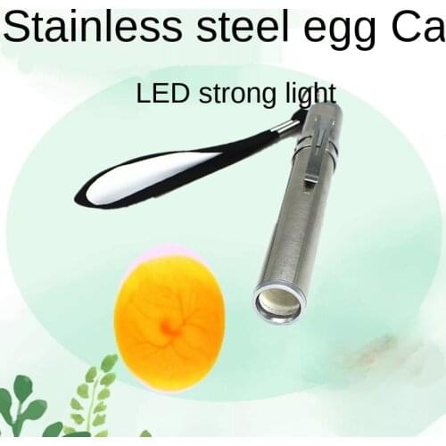 Carrier pigeon egg illuminator duck parrot egg bird egg pigeon egg LED flashlight Check for fertilization Development