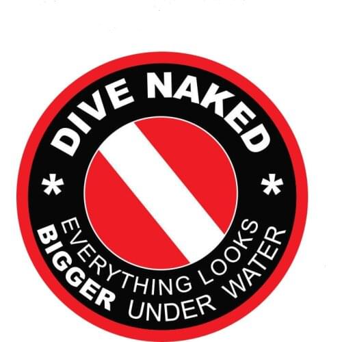 3DInteresting Graphics Car Sticker DIVE NAKED Fashion for Rear Windshield Window Trunk Bumper Scratch-Proof Auto Decal KK14*14cm