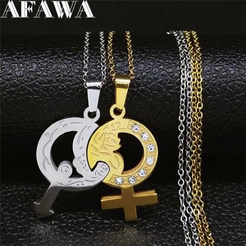 2PCS Gender Symbols Rose Flower Stainless Steel Crystal Couple Necklace Chain Women/Men Cold Silver Color Jewelry collar NXS01