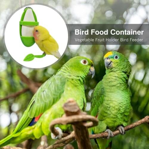 Bird Food Container Parrot Bird Food Container Parrot Stand Pole Birds Feeding Box Bird Feeder For Bird Supplies