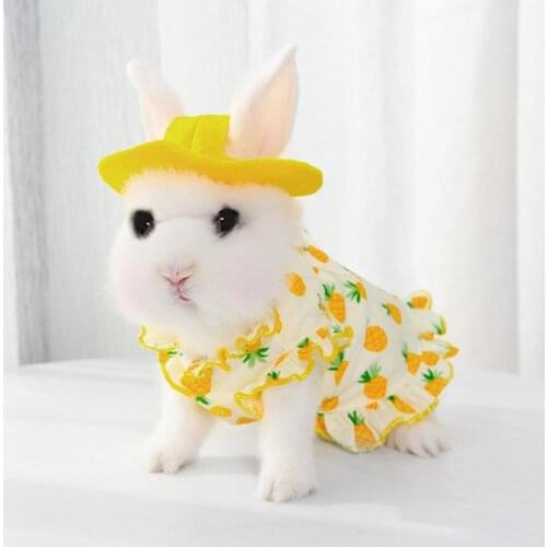 Pet Skirt Soft Cotton Clothes Fashionable Warm Pet Supplies for Summer Small Animals Dogs Rabbit Clothes Accessories Supplies