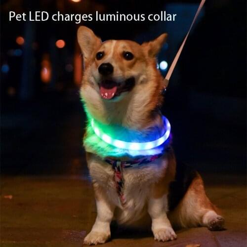 USB Charging LED A Variety of Color Night Safety Dog Supplies Glowing Dog Collar Pet Collar Medium and Large Dogs DIY Adjustable