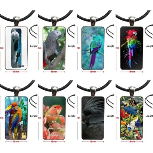 Glass Cabochon Choker Pendant Rectangle Necklace Stainless Steel Color Jewelry For Girls Gift Blue Ringneck Parrot Art Print