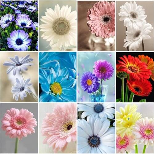 Diamond Painting Full Square/Round Drill 5D DIY "Colorful Flower " Embroidery Rhinestone Cross Stitch Decor