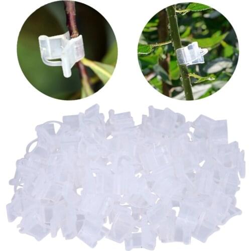 100pcs New Gardening Grafting Clips Garden Vegetable Flower Vine Bushes Plants
