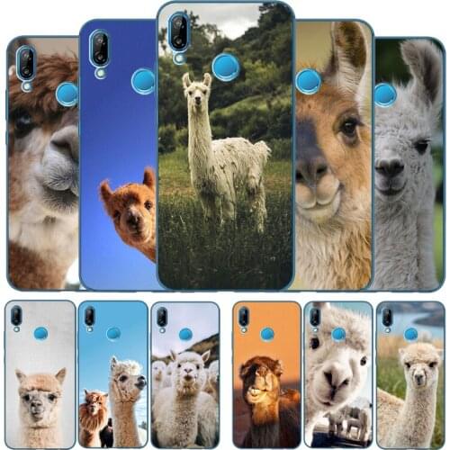 Cute lamas Alpaca animals case For Huawei P9 P10 P20 P30 P40 P smart Lite Plus Pro cases Y5 Y6 Y7 2017 2018 nova 3i soft Cover