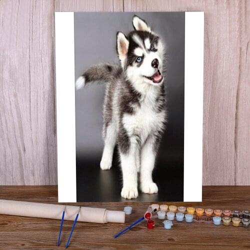 Animal Dog Husky Paint By Numbers Kit Oil Paints 40*50 Oil Painting Decorative Paintings For Kids Handiwork