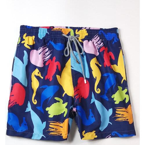 Luxury Mens Summer Classic Swimwear 2020 Fashion New Fast Dry Boardshorts Beach Trunks Gym Fiteness Board Shorts Boxers