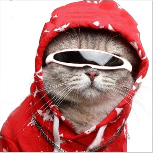 Pet Decoration Cat Sunglasses Wholesale Pet Supplies Cat Accessories Cute Funny Cat Glasses Pet Photo Props Small Dog Sunglasses