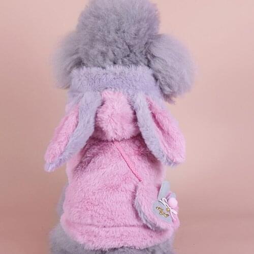 Dog Clothes Winter Warm Teddy Bichon Plus Velvet Thick Coats for Dogs Bunny Hood Cute XS S M L XL XXL