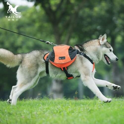 Pet Outdoor Bag, Safe And Easy To Control, Explosion-proof, Double-carrying Work From Backpack Pet Supplies