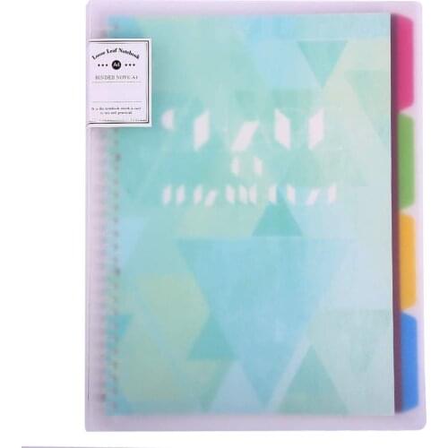 A4 binder portfolio notebook with 30 rings/holes, 5 subject spiral paper notecook 4 colored PP dividers with tabs for labels