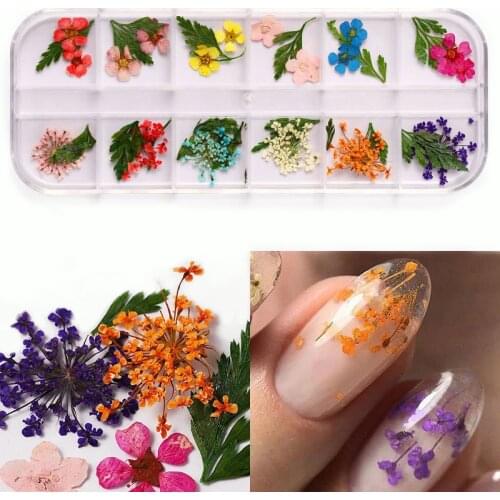 1 Box Mix Dried Flower Nail Decoration Natural Floral Sticker Mixed Dry Flower 3D Nail Art Designs Polish Manicure Accessories