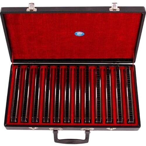 Swan SW24H-12T 24 Hole 12-Tune Set-Packing Harmonica Gift Box
