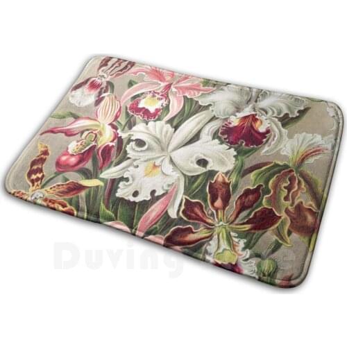 Orchids Painting By Ernst Haeckel Mat Rug Carpet Anti-Slip Floor Mats Bedroom German Zoologist Zoo Animal Animals Ernst Haeckel