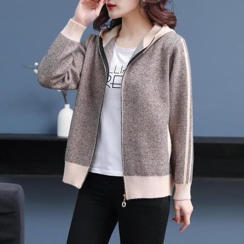 Hooded Knitted Cardigan Womens Zipper 2020 New Style Small Outer Short Autumn and Winter Sweater Coat Knitted Cardigan