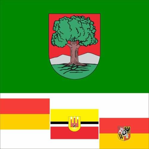 Poland 47 City POL Ustka Flag 3X5FT 90X150CM 100D Polyester POL Żyrardów Banner