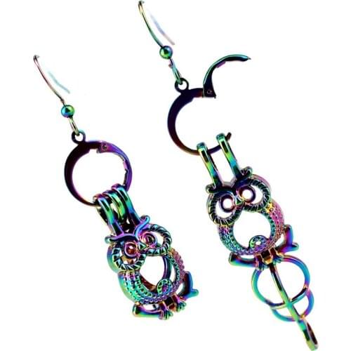 EE-C722 Rainbow Color Owl Pearl Cage Pendant Earrings Hooks with 6-9mm Plastic Beads earrings 2020