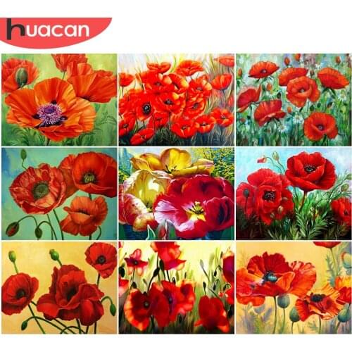 HUACAN Painting By Number Poppy Flower Kits For Adults Handpainted Pictures By Number Plant Home Decoration DIY Gift 60x75cm