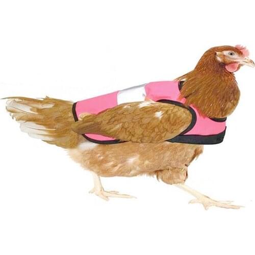 Free Size Pet Clothes Pet Vest Reflective Cloak Autumn And Winter Waterproof Chicken And Duck Vest For Pet Safety