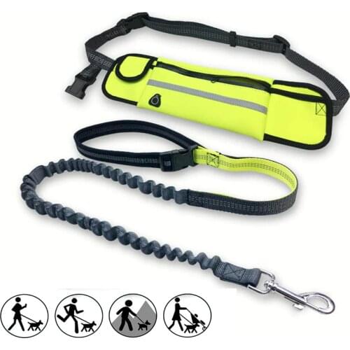 Jogging Lead Waterproof Running Belt Dog Collar Leash Retractable Hands Free Dog Leash Professional Pet Training Dog Leash Set