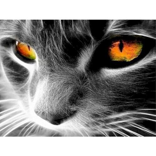 Big Eyes Cat Diamond Painting Animal Round Full Drill DIY Needlework Mosaic Embroidery 5D Cross Stitch Black and White Picture