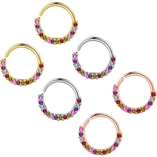 Cartilage Earring Helix Cartilage Tragus Rook Daith Snug Conch Nose Nostril Hoop Septum Ear Piercing Jewelry Huggie Earring