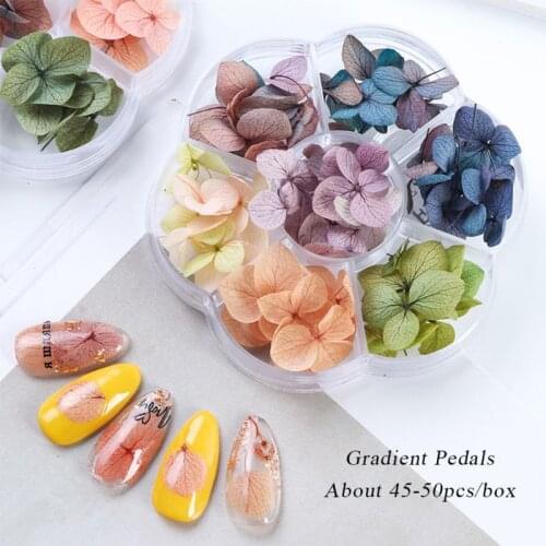 Dried Flowers DIY Epoxy Resin Handmade Crafts Filling Materials
