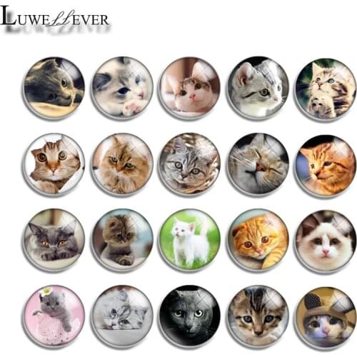10mm 12mm 16mm 20mm 25mm 30mm 573 Cute Cat Mix Round Glass Cabochon Jewelry Finding 18mm Snap Button Charm Bracelet