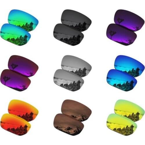 SmartVLT Polarized Replacement Lenses for Oakley Style Switch Sunglasses - Multiple Options