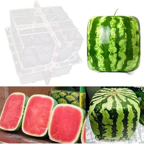 Square Shape Nursery Pot for Plants Growth Mold Watermelon Growing Mold Garden Plant Growing Tray Fruit Growing Forming Mould