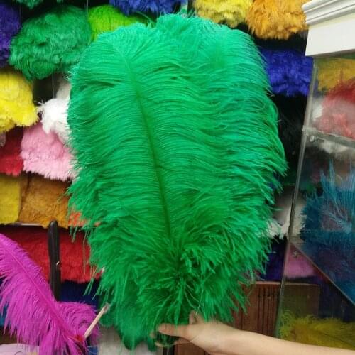 Hot Sales 100pcs Gorgeous Grass Green 22-24inches/55-60cm DIY jewelry Christmas Halloween Decoration Natural ostrich feathers