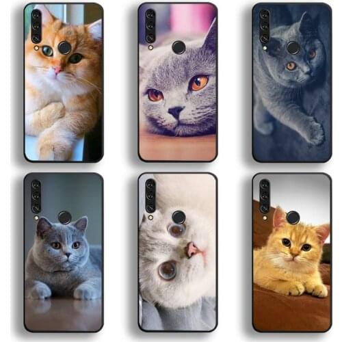 British Shorthair Cat Phone Case Huawei Y6P Y8S Y8P Y5II Y5 Y6 2019 P Smart Prime Pro