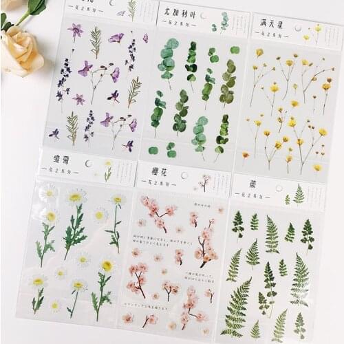 Flowers Leaves Plants Stickers Natural Daisy Clover Japanese Words Stickers Transparent PET Material For Scrapbooking Material