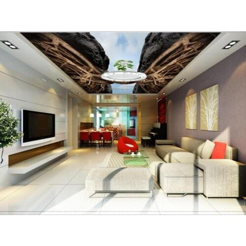 Photo Background Ceiling Mural Wall Papers Twisted big tree root ceiling mural on the cliff