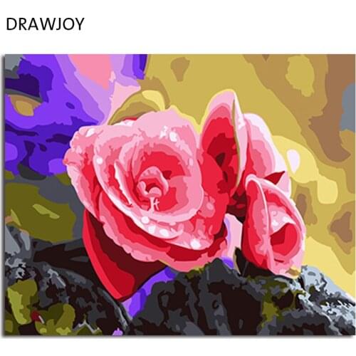 DRAWJOY Framed Picture Painting & Calligraphy Of Flower DIY Painting By Numbers Coloring By Numbers For Home Decor
