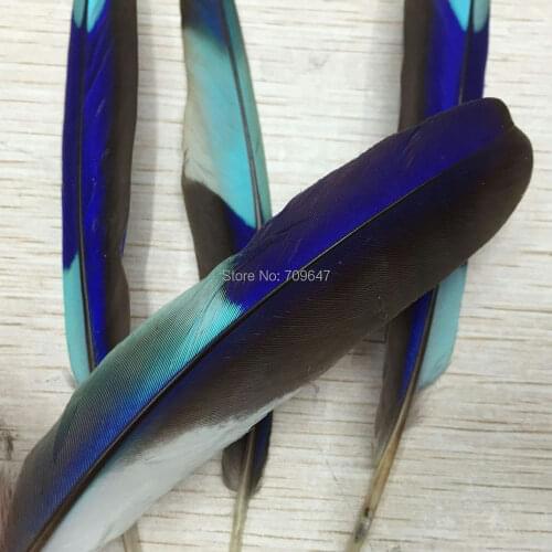 10Pcs High Quality Natural Macaws Feathers 3-5inch/8-12cm Decorative Diy Stage Performance Clothing Accessories