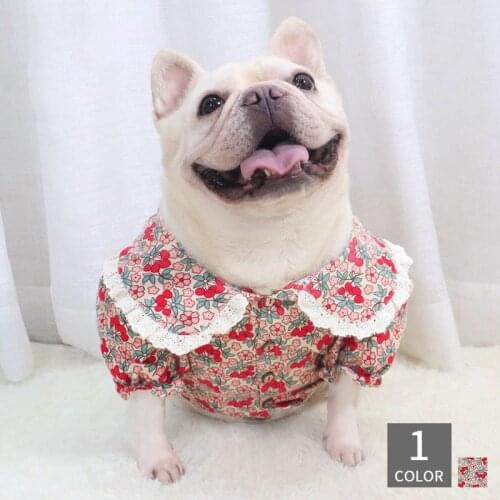 Kawaii Pet Dog Polo Shirt Lovely Flowers Print Dog Tshirt with Collar French Bulldog Clothes New Arrival Schnauzer Pug Clothing