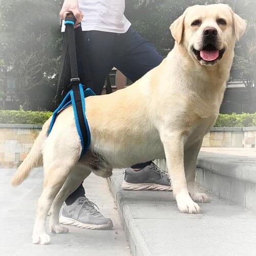 Adjustable Dog Back Legs Lift Harness Support Belt Pet Dogs Aid Assist Tool Support Sling Accessories