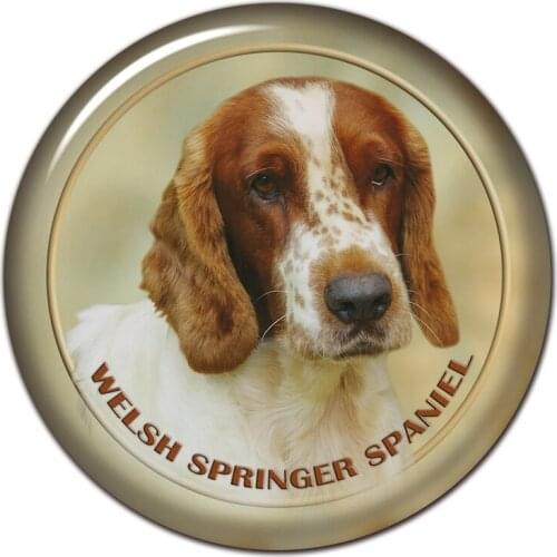 A0630# 13cm/17cm Removable Decal Welsh Springer Spaniel Dog Car Sticker Waterproof Accessories on Bumper Rear Window Laptop
