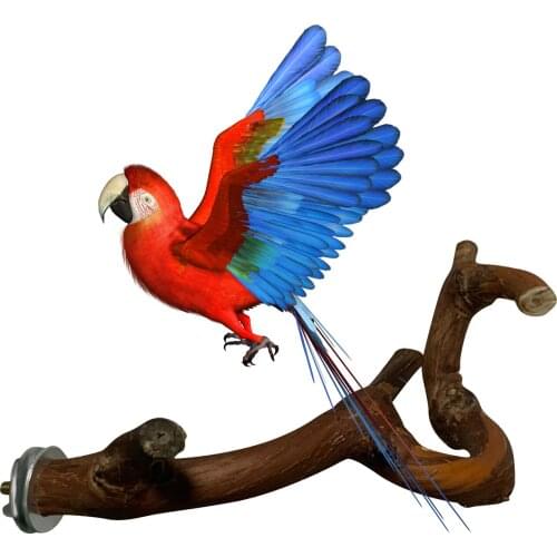 Bird Perch Stand Bird Training Stand Bird Playstand Bird Cage Toys 20-30cm Cage Toys Pet Parrot Wood Fork