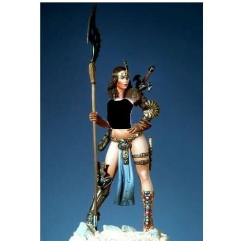 1/22 Female Warrior Scale Unpainted Resin Figure Building Kit