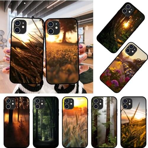 Phone Case For Apple IPhone 12 Mini 11 Pro XR X MAX SE XS 4 5 6 6S 7 8 E Plus Black Cover Coque Soft Funda Sunlight Forest