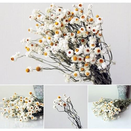 Dried Flower Chrysanthemum Decoration Photography Props for Store Wedding Flower Bouquet Floral Arrangement Home Decor GQ