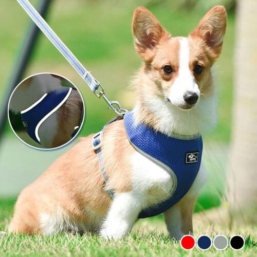 Breathable Pet Harness Dog Supplies for Large Dogs Summer Pet Products Reflective Small Dog Accessories Personalised Dog Collars