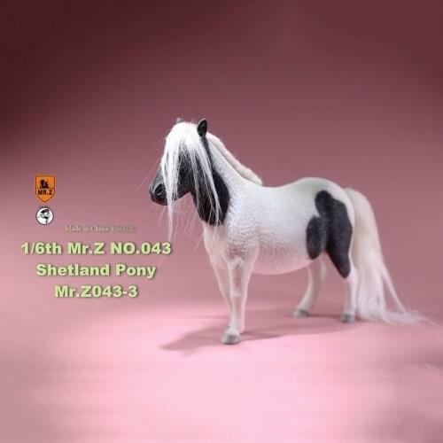 Mr.Z 16.5CM 1/6 Animal Model MRZ043 Shetland Pony Horse Model for 12 Inches Action Figure Accessory Home Decoration Display Show