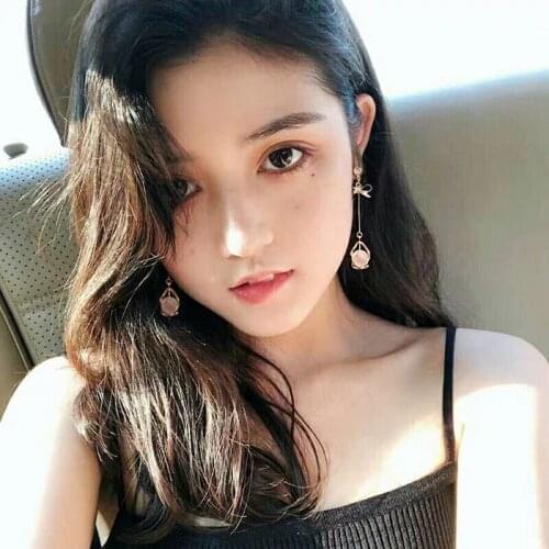 Korean Version of Bowknot Opal Simple and Versatile Temperament Earring Pendant Earring Female Long Tassel Party Wedding Jewelry