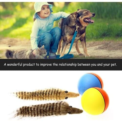Pet Ball Toy Dog Weasel Motorized Funny Rolling Ball Cat Chasing Jump Toys for Pets Kids Chaser Jumping Moving Toy Drop Shipping