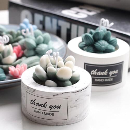 New DIY Succulent Plants Wax Candle Mold Resin Epoxy Cactus Soap Mold Cupcake Sugar Making Silicone Mold